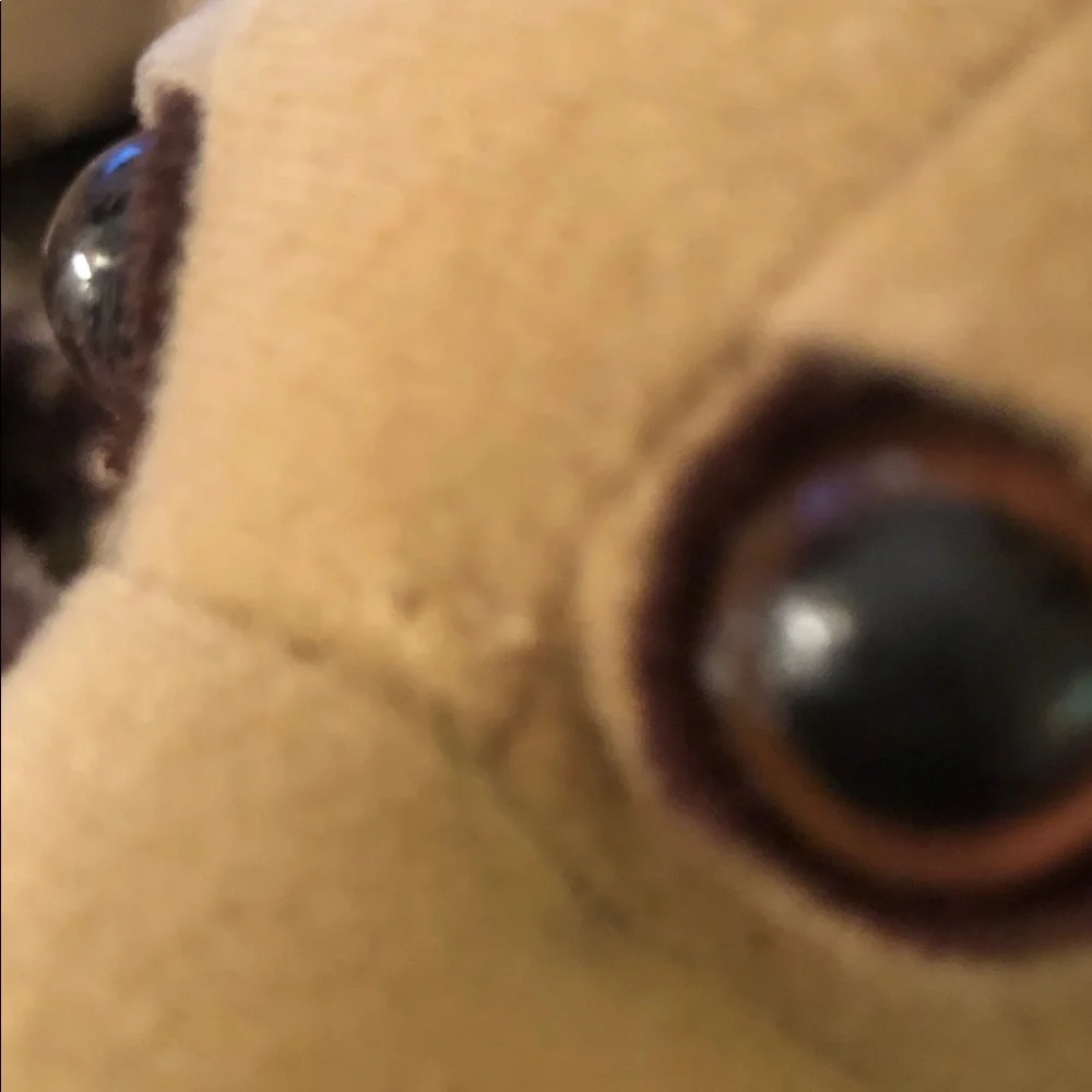 TACO BELL CHIHUAHUA STUFFED TOY • FREE TACOS TAG